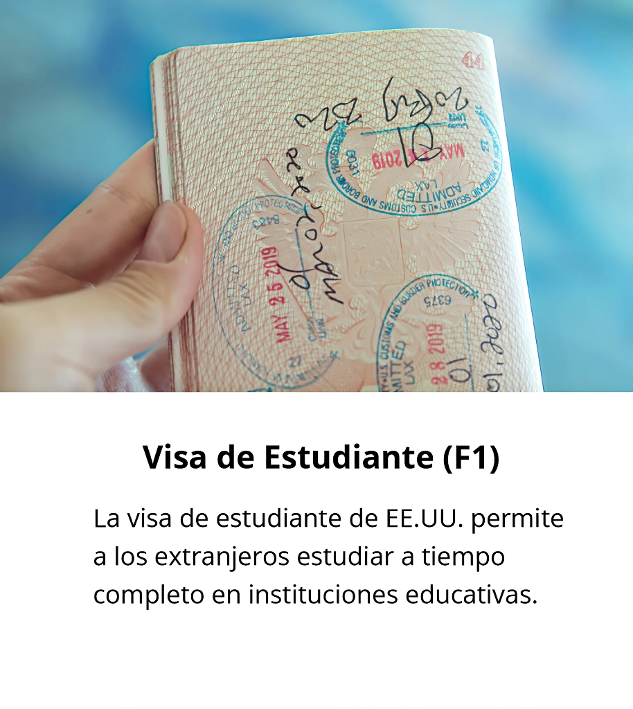 captura de pantalla 2026 02 27 124057 artguru